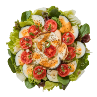 Caesar Salad Top View png