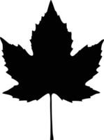 Autumn fall leaf Maple, leaves silhouette vector