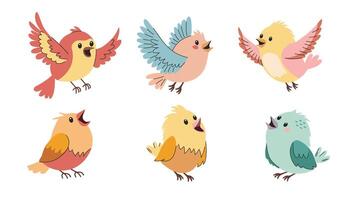 Spring birds. A set of flat illustrations vector