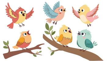 Set of spring birds. Different birds. Beautiful and cute multi-coloured birds. cartoon illustration in childish style. Images are isolated on white. vector