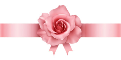 pink rose with ribbon on transparent background. ready to use png