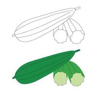 Illustration luffa with blank background vector