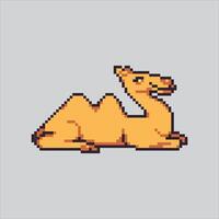 Pixel art illustration Desert Camel. Pixelated Dune Camel. Desert Dune Camel Animal Icon pixelated for the pixel art game and icon for website and game. vector