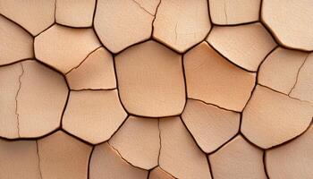 Unique geometric patterns form on the dry surface of cracked earth under sunlight photo