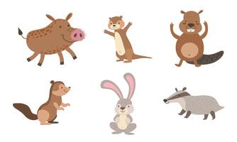 Cute Wild Forest Animals Set, Gopher, Wild boar, Beaver, Hare, Chipmunk, Badger Illustration vector