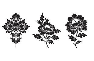 Elegant Floral Ornament Pattern Art for Packaging Design vector