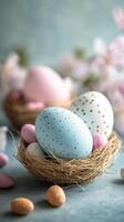 Easter eggs in a nest with spring flowers on a blue vertical background with copy space for text photo