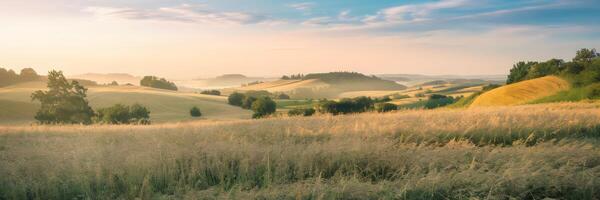 Countryside with golden crops and blue sky photo
