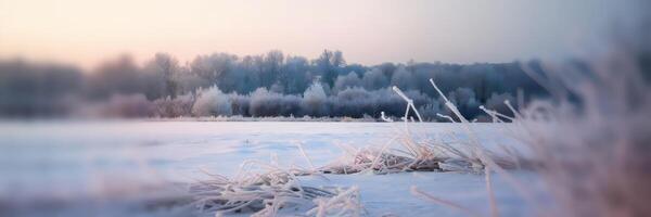 Dreamy winter scene with frosty trees and snow-covered ground photo
