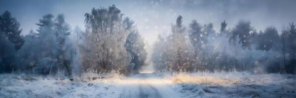 Snowy forest path with misty light and overcast sky photo