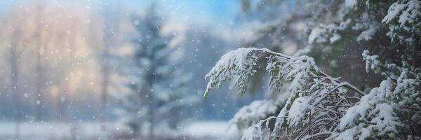 Serene snowy forest with thick snow and softly blurred trees photo