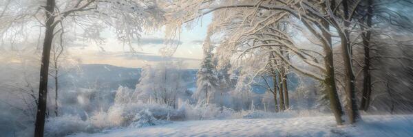 Peaceful winter forest with fresh snow and rolling hills photo