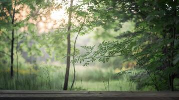 Forest scene with sunlight and wooden plank in the foreground photo