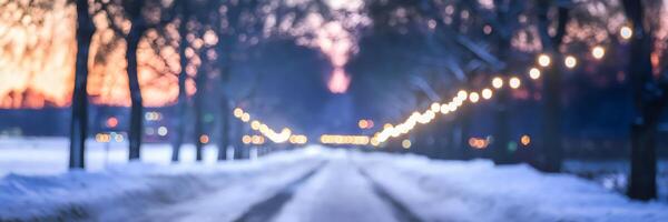 Serene winter path with snow and warm glowing horizon photo