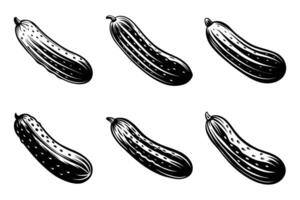 Cucumber Silhouette Icon Set in Flat Outline Style vector