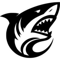Tattoo of attacking shark with mouth open head in monochrome. Wild shark in madness. Engraving minimalistic in black ink drawing on white background vector