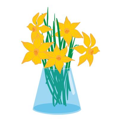 Narcissus in vase. Yellow Spring flowers bouquet. illustration isolated for seasons greeting postcard, poster, wedding invitation, web banner, spring sale advertising, gardening, holiday
