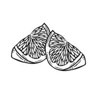Lemon quarters. Black and white composition of two citrus slices. Outline ink drawing of a fruit dessert. Vitamin ingredient in a healthy diet. Hand drawn graphics for menu, logo or label design vector