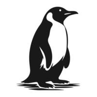 A minimalist penguin silhouette with smooth, rounded lines, presented on a pure white background for a timeless design. vector