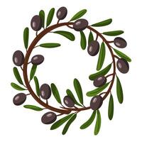 branch of a wreath of black olives. long closed branch with fruits and leaves in the shape of a circle. Flat color illustration on a white. broken branch with olives. Whole for fresh food preparation vector