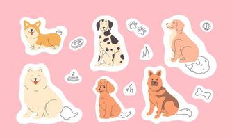 Set of hand-drawn stickers of different breeds of dogs. Pets vector