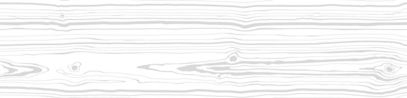Wood grain white gray texture. Seamless wooden pattern. Abstract line background. Tree fiber vector