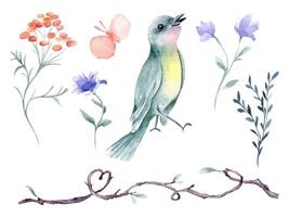 Floral set of tiny singing bird of pastel colors and flowers hand drawn watercolor. Green bird, butterfly, twig shaped heart in botanical sketch. Elements for design child illustration, textile, card vector