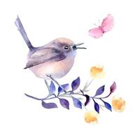 Small bird round body purples and pastel pinks plumage on branch hand drawn watercolor. Avian composition of singing bird butterfly and flower in botanical sketch. Bird art design for greeting card. vector