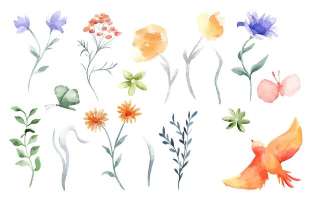 Watercolor set of flowers, branch and leaves orange, blue colors isolated illustration. Abstract meadow plants and butterflies hand drawn. Orange bird in flight. Floral set for design card, textile.