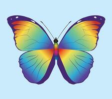 Rainbow morpho menelaus butterfly. The wings are filled with a rainbow gradient. Also the body of the insect is a rainbow. Dorsal view. vector