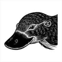 Platypus in nature background vector