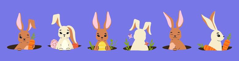 Bunny in hole. Cute cartoon rabbit with big ears hiding in ground, funny spring wildlife rabbits characters peeking out from burrow. Easter bunnies illustration vector