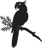 Parrot Bird on white background vector