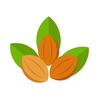 Three Almonds with Green Leaves on white Background vector