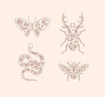 Beetles elements stag beetle, snake, moth, insect drawing in floral style with red on pink background vector