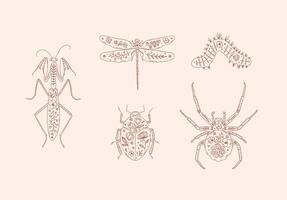 Beetles elements mantis, dragonfly, spider, caterpillar, insect drawing in floral style with red on pink background vector