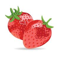 Two Juicy Realistic Strawberries with Shadow Isolated on White Background vector