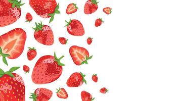 Realistic Berries Illustration with Your Text Place vector
