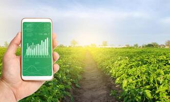 Farmer collects information from farm fields. IoT Internet of things in agriculture, innovative technologies in farming. Analytics and forecast, analysis of sensor readings. Growing organic vegetables photo