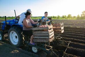 People on the tractor are planting potatoes. Automation of the process of planting potato seeds. High efficiency and speed. New technological solutions to simplify work. Agroindustry and agribusiness. photo