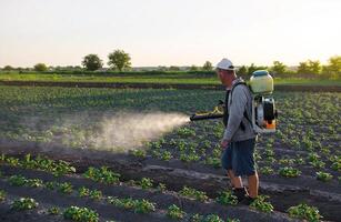 A worker with a sprayer works in the field. Use of chemicals for protection of cultivated plants from insects and fungal infections. Pesticides and fungicides. Agriculture and agro industry. Farm work photo