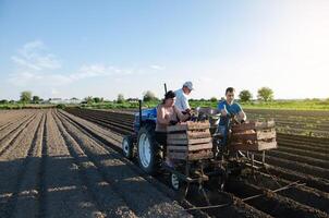 Workers are planting potatoes on the field. Automation of the process of planting potato seeds. Agricultural technologies. Agroindustry and agribusiness. New technological solutions to simplify work. photo
