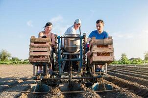 Farmer workers on a tractor plant potato seeds. Automation of process of planting potatoes seeds. High efficiency and speed. Agroindustry and agribusiness. New technological solutions to simplify work photo