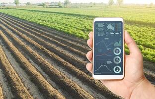 Hand holds mobile phone with crop status analysis infographics. Quality control. Innovative modern technologies in agriculture. Internet of Things. Collect data, forecasts to improve harvest quality. photo