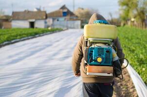 A farmer with a mist sprayer on his back walks through the farm field. Protection of cultivated plants from insects and fungal infections. The use of chemicals for crop protection in agriculture photo