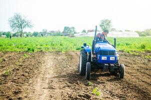 A driver on a farm tractor performs land work on the field. Loosening surface, cultivation. Farming, agriculture. Plowing field. Use of agricultural machinery and to simplify and speed up photo