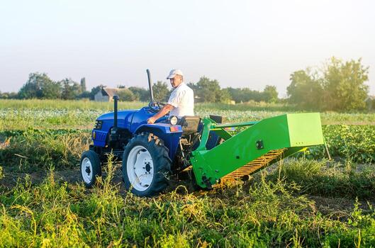 A farmer on a tractor with an aggregate of equipment for digging out potato. Extract root vegetables to surface. Simplify speed up work with technology and machines. Harvesting potatoes in autumn. photo