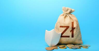 Polish zloty money bag and protection shield. Guarantee protection savings and investments. Secured loan. Avoiding loss of funds during inflation. Financial instruments. Ease doing business. photo