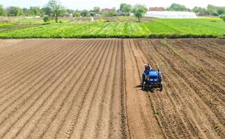Farmer on a tractor drives on a farm field. Agriculture and agribusiness. Growing vegetables. Processing and transformation of soil for agricultural needs. Improving the quality of the land photo