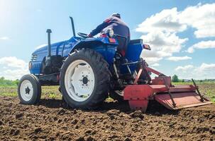 Farmer on a tractor with a milling machine processes loosens soil in the farm field. Preparation for new crop planting. Grind and mix soil on plantation. Loosening surface, cultivating the land. photo